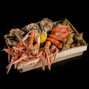 Plateau Fruits de Mer - Apéritif